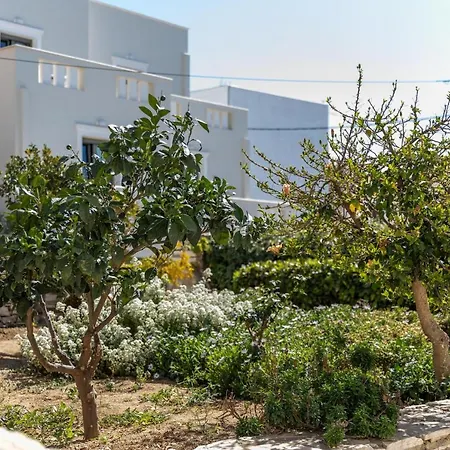 Margherita's Cozy Studio In Naxos דירה Naxos City