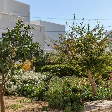 דירה Margherita's Cozy Studio In Naxos Naxos City