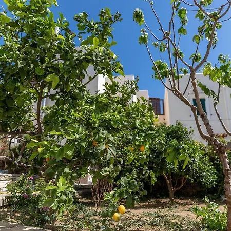דירה Margherita's Cozy Studio In Naxos